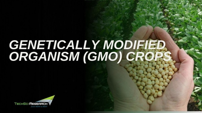 Genetically Modified Organism (GMO) Crops